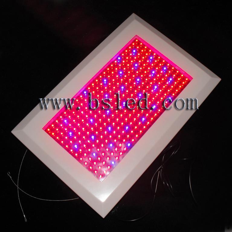 powerful 300w hydroponics led grow light produce good harvest