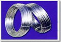 Electro Galvanized Wire