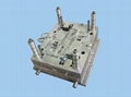 plastic  injection mold 1