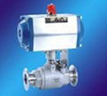 Pneumatic Valve 1