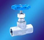 Globe Valve