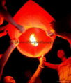 Flying Paper Lantern,Wish Lantern 1