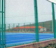 Wire mesh fence