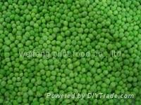 IQF green pea
