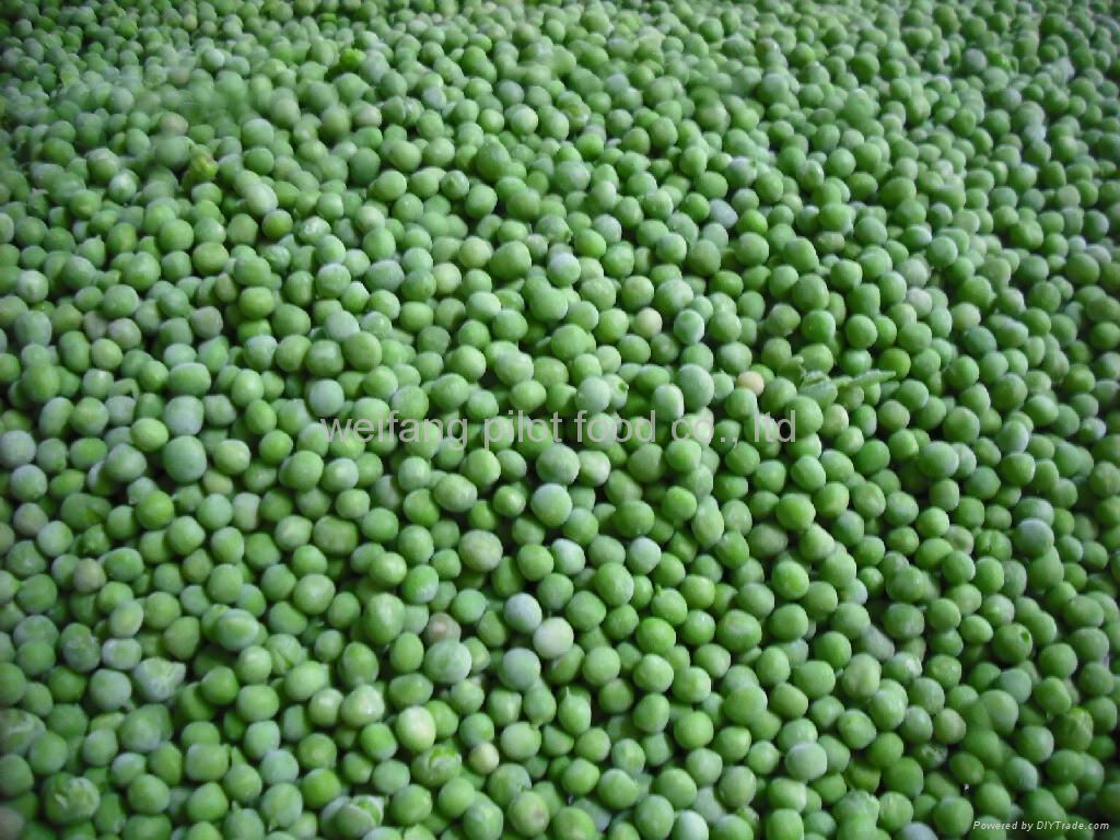 IQF green pea 2