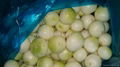 fresh peeled onion 1