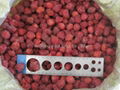 IQF strawberry Am 13 2