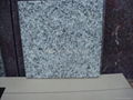 granite tiles 2