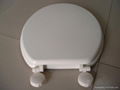 mdf toilet seat 1