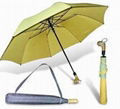 2 fold auto open umbrella