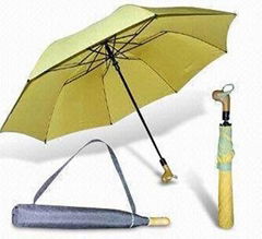 2 fold auto open umbrella