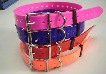 Pet collar 2