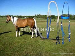 Horse bridle