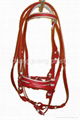 PVC Horse rein & bridle 2