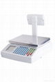 Electronic Price Computing Scale 1