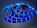 5050 waterproof led strip light  5