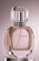 crystal perfume bottle1011