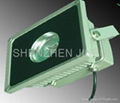 LED Flood light