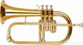 Flugel horn 1