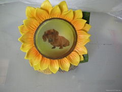 solar sunflower light