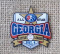 baseball lapel pin 2