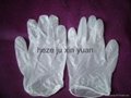 disposable vinyl gloves 1