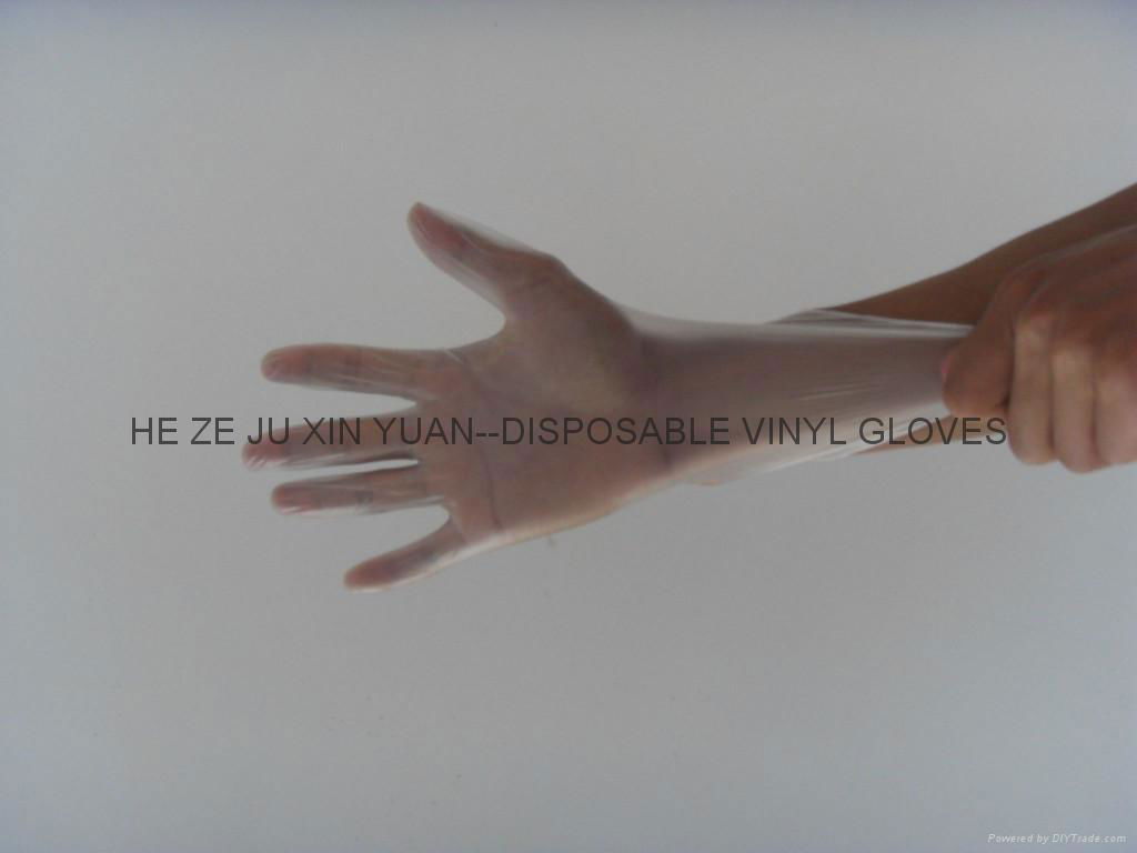 一次性PVC手套disposable vinyl glove 4