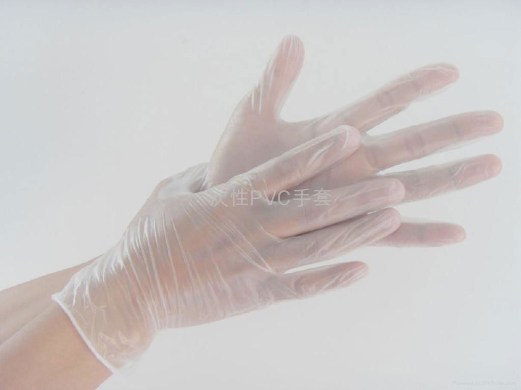 一次性PVC手套disposable vinyl glove 3