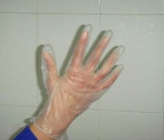 disposable vinyl gloves