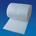 ceramic fiber board/blanket/Module