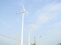 Wind Turbine Generator ECO-500W