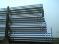 galvanized pipe/GI pipe/ 4