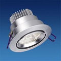 LED Down Light