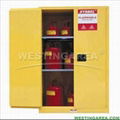 Flammable Cabinet