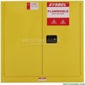 Flammable Cabinet  2