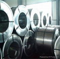 hot dipped galvanized steel coils/ Hot rolled coils/GI/hot rolled strips