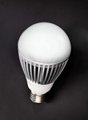LED Dimmable series(Hi-power Bulb) 1