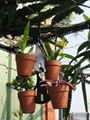 Flowerpot Hanger 3