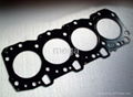 Engine Gasket 1