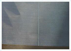 Stainless Steel Mesh 2