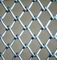 Chain Link Fence 1