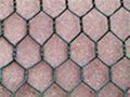 Hexagonal Wire Netting 1