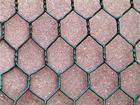 Hexagonal Wire Netting