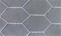 Hexagonal Wire Netting 5