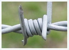 Barbed Wire