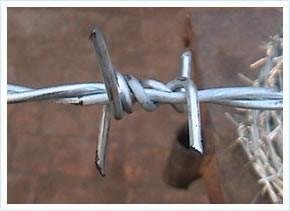 Barbed Wire 2