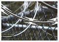 Razor Wire