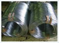 Galvanized Wire