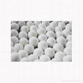 thermal storage ceramic ball  1