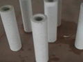 PALL Water  Filter 4